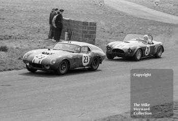 Frank Gardner, Willment Shelby Cobra, Sir John Whitmore, Alan Mann Shelby Cobra, 1965 Tourist Trophy, Oulton Park.
