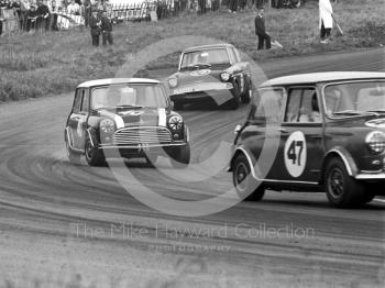John Rhodes, Cooper Car Company Mini Cooper S, chasing Steve Neal, Mini Cooper S, through Cascades followed by Chris Craft, Superspeed Ford Anglia, Oulton Park Gold Cup meeting, 1967.
